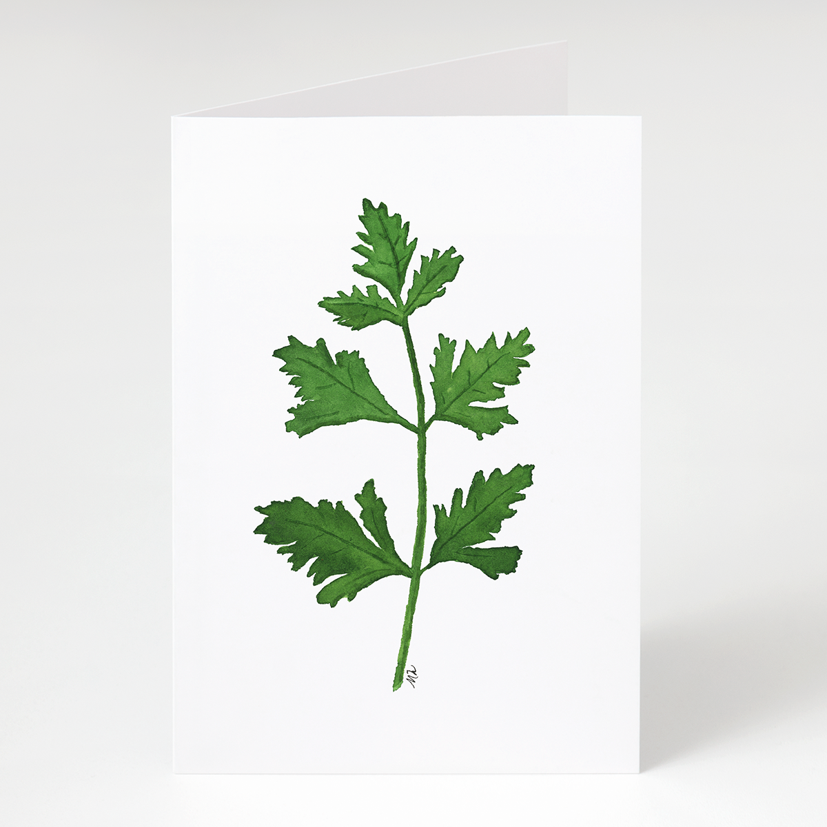 &quot;Parsley&quot; Greet &amp; Frame Greeting Card - Herb Series #1